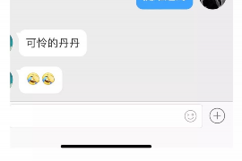 龙亭债务清欠服务